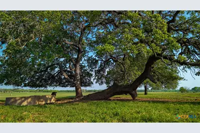 Tbd County Road 404, Floresville, TX 78114 - Photo 3