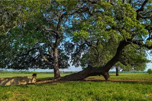 Tbd County Road 404, Floresville, TX 78114 - Photo 3