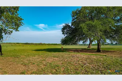 Tbd County Road 404, Floresville, TX 78114 - Photo 17