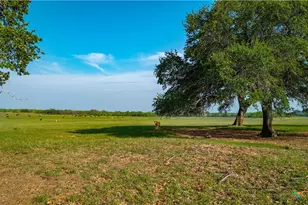 Tbd County Road 404, Floresville, TX 78114 - Photo 17