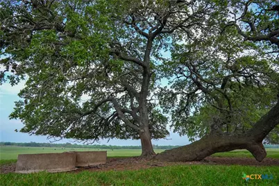 Tbd County Road 404, Floresville, TX 78114 - Photo 33