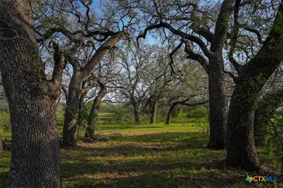 Tbd County Road 404, Floresville, TX 78114 - Photo 5