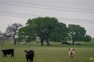 Tbd County Road 404, Floresville, TX 78114 - Photo 9