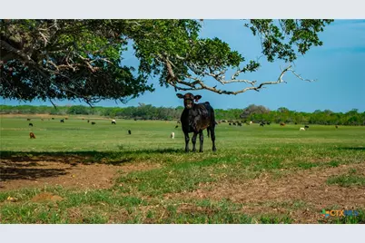 Tbd County Road 404, Floresville, TX 78114 - Photo 3