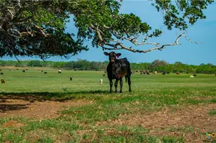 Tbd County Road 404, Floresville, TX 78114 - Photo 3