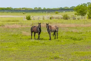 411 Wade Rd, Eddy, TX 76524 - Photo 9