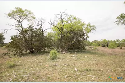 Lot 23 Shin Oak Drive, Lampasas, TX 76550 - Photo 23
