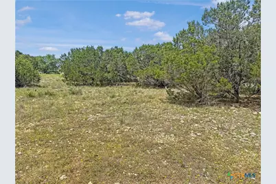 358 Blackbird Drive, Spring Branch, TX 78070 - Photo 5