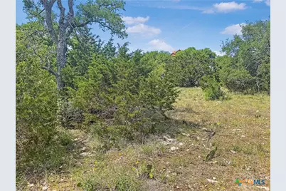 358 Blackbird Drive, Spring Branch, TX 78070 - Photo 7