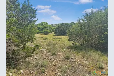 358 Blackbird Drive, Spring Branch, TX 78070 - Photo 9