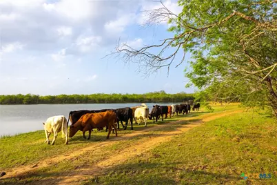 6888 Old Seguin Luling Rd, Seguin, TX 78155 - Photo 5