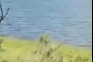 620 Lake Island Dr, Canyon Lake, TX 78133 - Photo 27