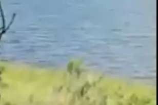 620 Lake Island Dr, Canyon Lake, TX 78133 - Photo 27