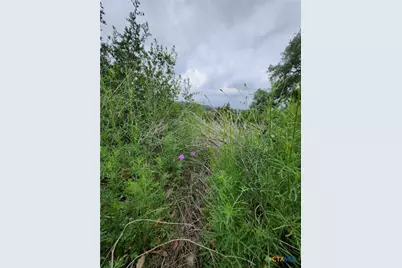 1279 Kings Cove Drive, Canyon Lake, TX 78133 - Photo 9