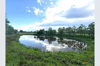 1228 County Road 348 Loop, Gause, TX 77857 - Photo 41