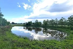 1228 County Rd 348 Loop, Gause, TX 77857 - Photo 41