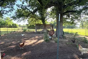 1228 County Rd 348 Loop, Gause, TX 77857 - Photo 27