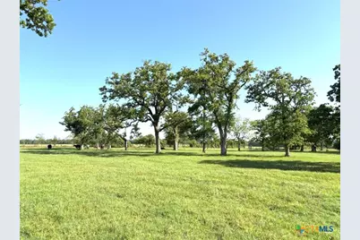 1228 County Road 348 Loop, Gause, TX 77857 - Photo 31