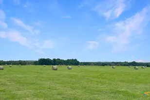 1228 County Rd 348 Loop, Gause, TX 77857 - Photo 45