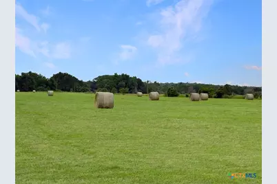 1228 County Road 348 Loop, Gause, TX 77857 - Photo 43