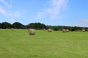 1228 County Rd 348 Loop, Gause, TX 77857 - Photo 43