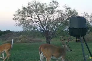 570 Pr 42103, Evant, TX 76525 - Photo 39