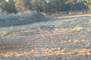 570 Pr 42103, Evant, TX 76525 - Photo 41
