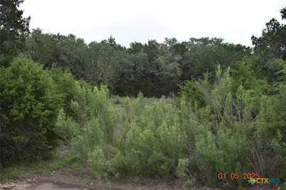 2315 Haven Bluff Court, New Braunfels, TX 78132 - Photo 9