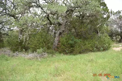 2315 Haven Bluff Court, New Braunfels, TX 78132 - Photo 7