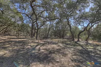 995 Five Oaks Circle, Canyon Lake, TX 78133 - Photo 23