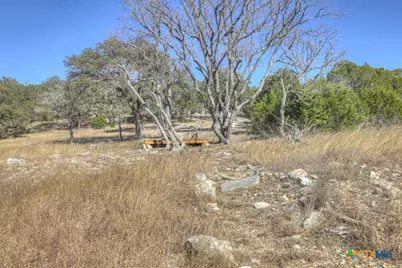 995 Five Oaks Circle, Canyon Lake, TX 78133 - Photo 33