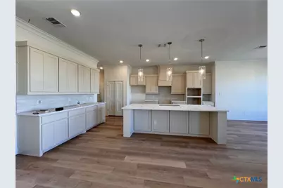 10806 Campsite Cove, Temple, TX 76502 - Photo 3