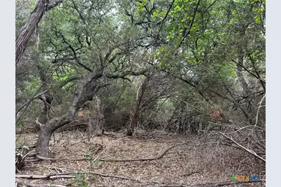 126 Cottonwood Drive, Gatesville, TX 76528 - Photo 25