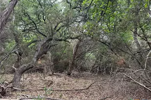 126 Cottonwood Dr, Gatesville, TX 76528 - Photo 25