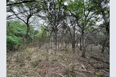 126 Cottonwood Drive, Gatesville, TX 76528 - Photo 27