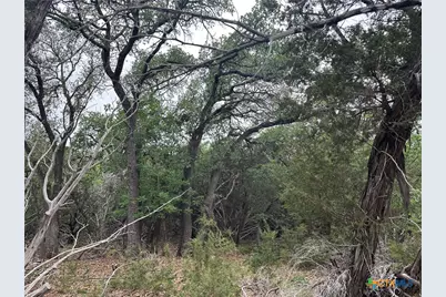 125 Hillcrest Drive, Gatesville, TX 76528 - Photo 19