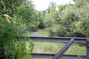 7887 Pettytown Rd, Red Rock, TX 78662 - Photo 7