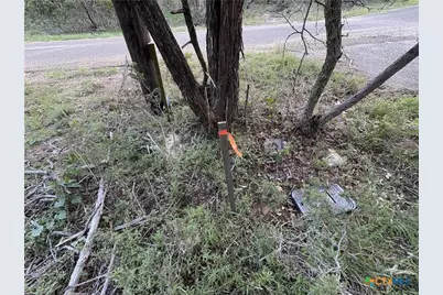 2303 Prickley Pear Road, Belton, TX 76513 - Photo 3