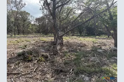 2303 Prickley Pear Road, Belton, TX 76513 - Photo 11