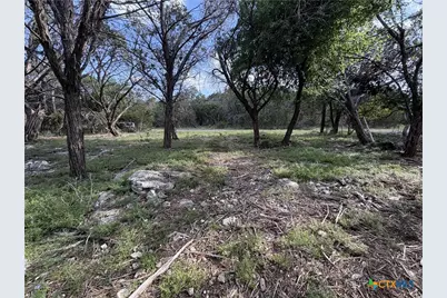 2303 Prickley Pear Road, Belton, TX 76513 - Photo 9