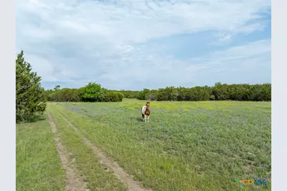 740 Old Georgetown Road, Gatesville, TX 76528 - Photo 39