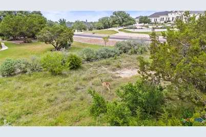 2542 Black Bear Drive, New Braunfels, TX 78132 - Photo 15