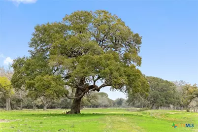 778 County Road 123, Edna, TX 77957 - Photo 9