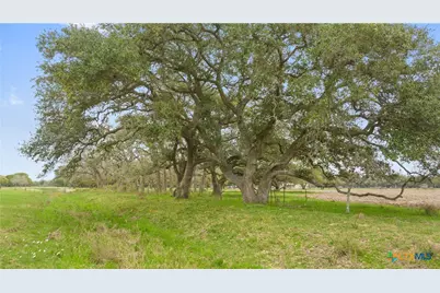 778 County Road 123, Edna, TX 77957 - Photo 41