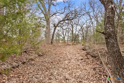 1879 Longhorn Parkway, Axtell, TX 76624 - Photo 19