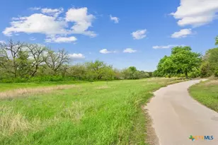 4170 Elm Grove Rd, Belton, TX 76513 - Photo 7