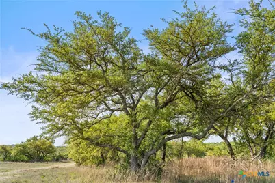 0 Hwy 290, Johnson City, TX 78636 - Photo 41