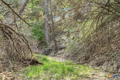 0 Hwy 290, Johnson City, TX 78636 - Photo 29