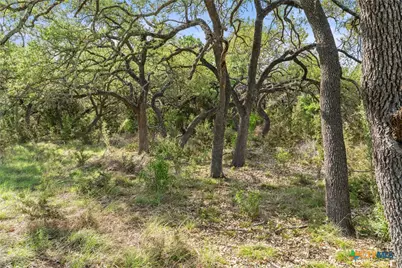 0 Hwy 290, Johnson City, TX 78636 - Photo 23