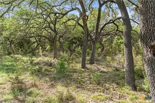 0 Hwy 290, Johnson City, TX 78636 - Photo 23